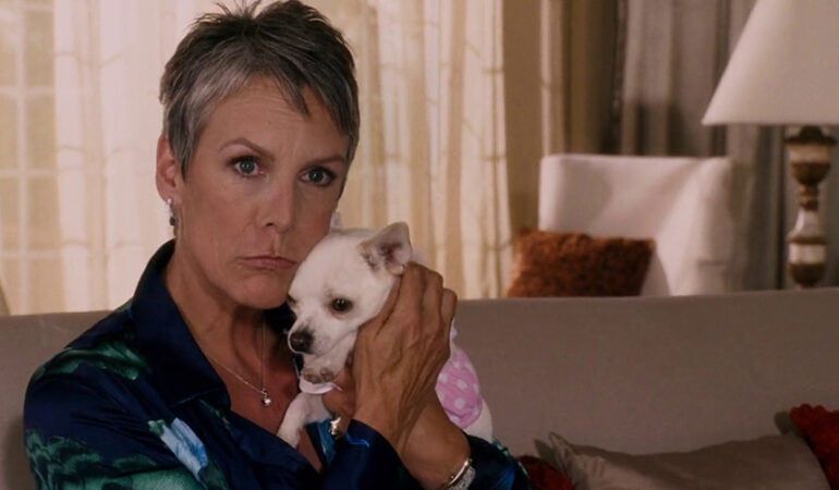 Featured Image - "Grandview, U.S.A." & "Beverly Hills Chihuahua" Captures Added to Gallery